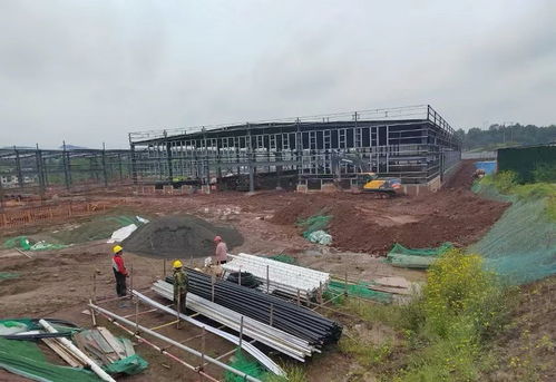 達(dá)川區(qū) 加快項(xiàng)目建設(shè) 厚植產(chǎn)業(yè)基礎(chǔ)