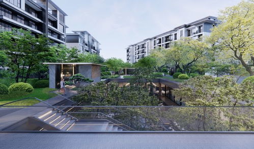 四川資本入局洛陽樓市，“領投雁”能否引領新格局？